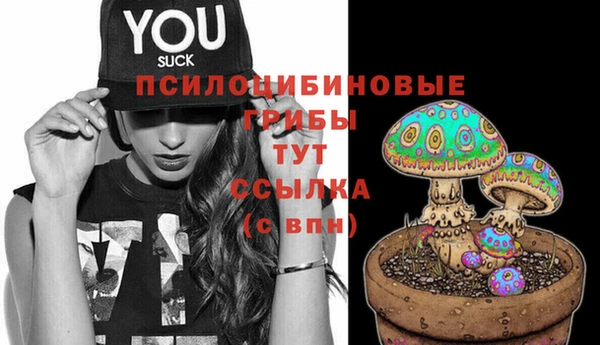 2c-b Липки