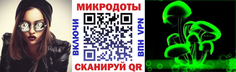 купить   Якутск  Псилоцибиновые грибы Cubensis 